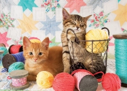 Puzzle Weiche Knäuel 1000 Teile