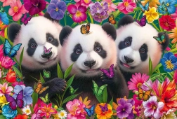 Puzzle Panda-Trio 200 Teile