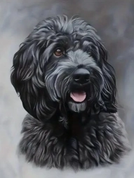 Diamantmalerei Schwarzer Cockapoo 30 × 40 cm