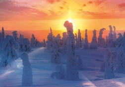 Puzzle Finnische Natur 1000 Teile