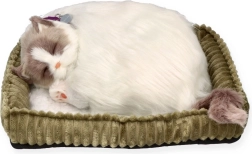 Atmendes Kätzchen Ragdoll Perfect Petzzz