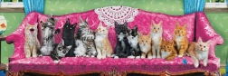Panoramisches Puzzle Katzen auf dem Katzen-Sofa - 1000 Teile