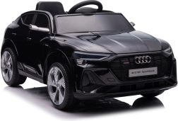 Audi E-Tron Autobatterie schwarz QLS-6688