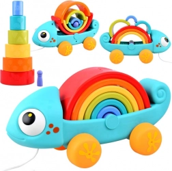 Regenbogen Chamäleon Spielzeug Montessori 18m+
