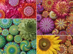 Ravensburger Puzzle Mandala Blumen 500 Teile