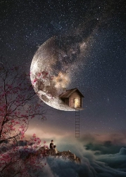 Puzzle Flüstern der Träume 1000 Teile