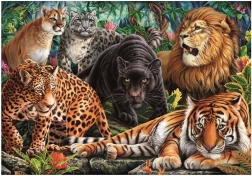 Puzzle Wilde Katzen 500 Teile