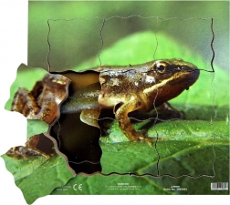 Just Jigsaws Frosch und sein Lebenszyklus - hölzernes Schichtpuzzle