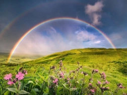 Puzzle 1500 Teile Regenbogen über der Wiese