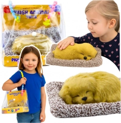 schlafendes Labrador-Welpen auf Kissen mit flauschigem Fell in Tragetasche