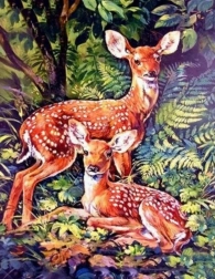 Diamantmalerei Rehe im Wald 30 × 40 cm