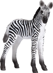 Realistische Zebra-Jungtierfigur