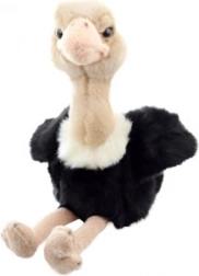 Plüsch-Strauß 18 cm, ökologisch