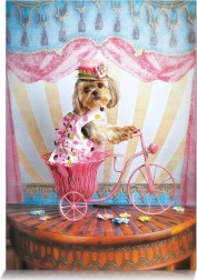 Puzzle Snílker Reisender 500 Teile