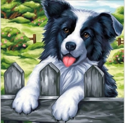 Diamantstickerei (Diamond Painting) Bild „Hund am Zaun“ 30 × 30 cm - 1 Stück