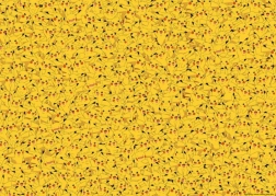 Puzzle Pokémon Pikachu 1000 Teile