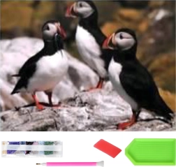 Diamantmalerei XXL 120 × 60 cm – Papageitaucher, Mosaik-Set