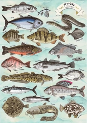 Puzzle TREFL Premium Plus Finders Keepers: Fische 500 Teile