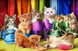 Puzzle EUROGRAPHICS Katzenstolz 1000 Teile