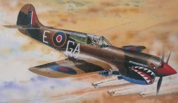 Flugzeugmodell Curtiss P-40K Kittyhawk Mk. III 1/72