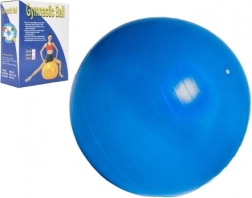 Gymnastikball 75 cm für Rehabilitation und Heimtraining