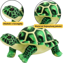 Grüne Plüschschildkröte Spielzeug 25cm