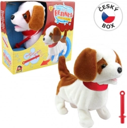 Hündchen Besinka mit Pfeife