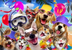 Alipson Puzzle Selfie Strandparty 1000 Teile