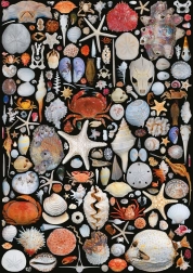 Puzzle Vom Strand 1000 Teile PIATNIK