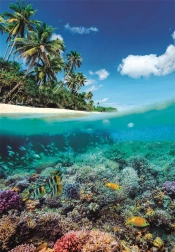 Puzzle Sommerparadies 1000 Teile von Clementoni