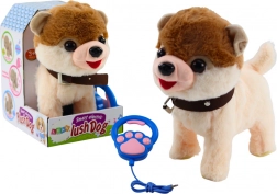 Interaktiver Hund an der Leine