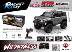 RC-Auto Wilderness 1:10 grau
