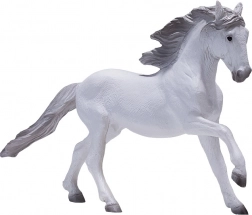 Mojo Lusitanisches Pferd weiß