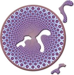 Curiosi rundes Mini-Puzzle Picoli Body, 33 Teile