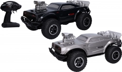 RC-Auto mit Fernsteuerung 48 cm