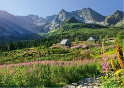 Puzzle CHERRY PAZZI Hohe Tatra – Húsniková-Tal, 1000 Teile