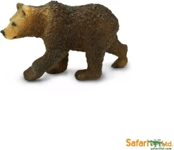 Grizzlybär – Jungtier