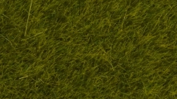 Statische Wiese Wilde Wiese 6 mm