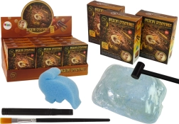 Ausgrabungen urzeitlicher Kreaturen – Überraschungs-Ammonit