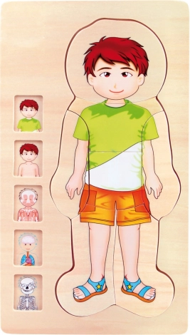 Small Foot Holzpuzzle Anatomie Tim