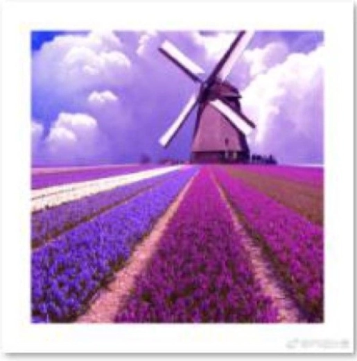 Diamantmalerei – Windmühle auf einem Lavendelfeld 30 × 30 cm