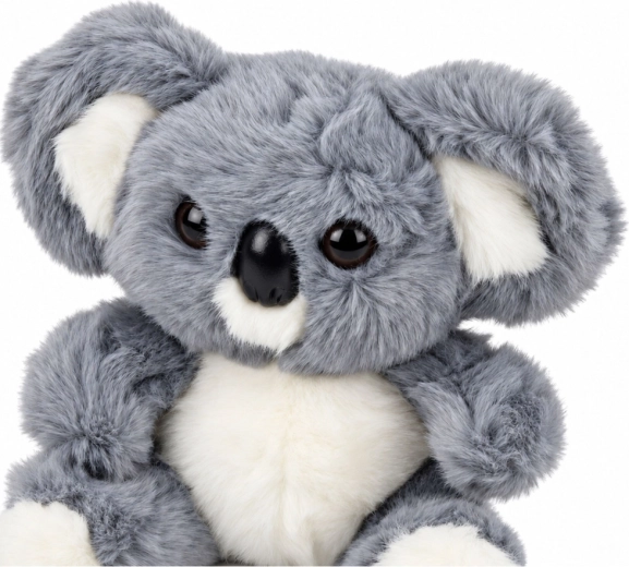 Niedliche Gestaltung der Koala