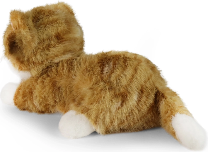 Realistisches Aussehen einer Katze