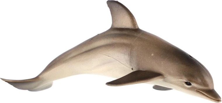Realistische Darstellung eines Delfins