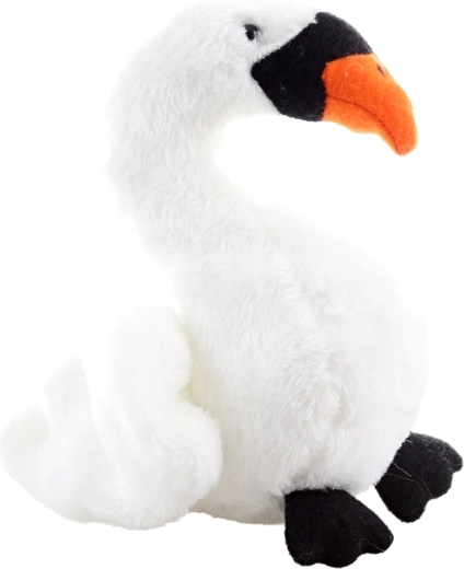 Kompakte Maße für kleine Hände