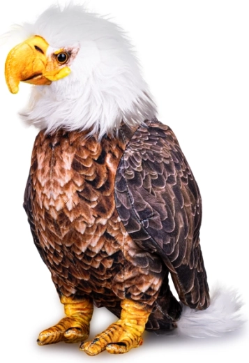 Plüsch-Weißkopfseeadler 30 cm