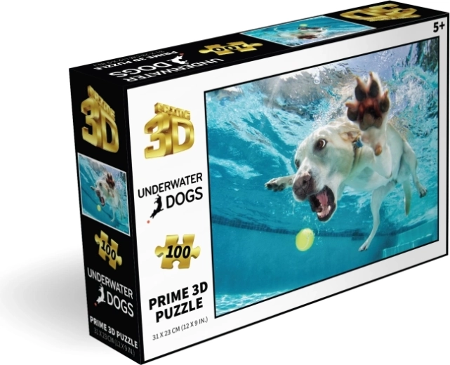 100 Teile für smarten Spaß