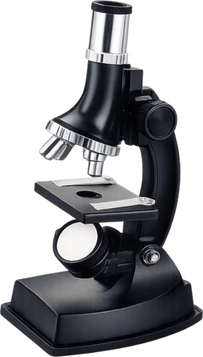 Vergrößerung bis 300× für echte Entdeckungen