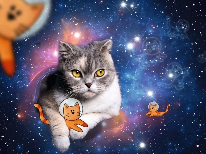 Puzzle Katze im Weltraum 1500 Teile