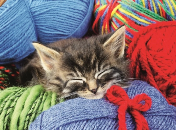 Ravensburger Puzzle Katze mit Wollknäuel XXL 100 Teile